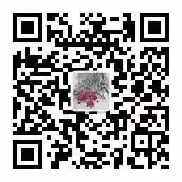 公众号二维码 公众号二维码
