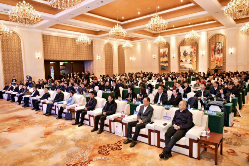 会议4 会议4