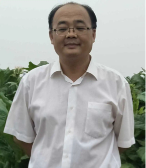 图片4